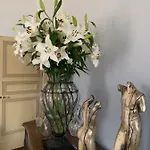 Maison Longuevie أميا
