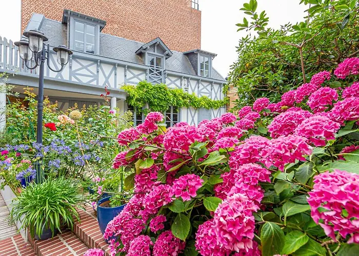 Bed & Breakfast Maison Longuevie Amiens